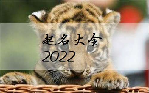 2022属虎宝宝起名,女孩取名美丽的属虎女宝宝名字大全参考2022给属虎